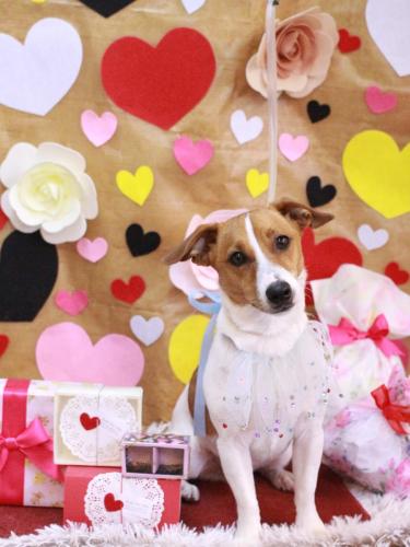 20230217マルニくん